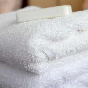 https://trieste-milan.italymilanhotels.net